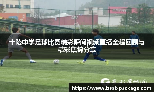 中欧体育
